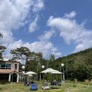 위치어데이 | [고양시 덕양구] 주차편한 대형 브런치 카페/ 포시즌어데이 방문후기(내돈내산)