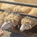 늘솔길근린공원(4호) 공원화장실 이미지