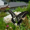 자미원농장 이미지