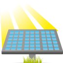 에이스팜 이미지