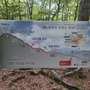 뉴남원분식 | 한라산 성판악코스