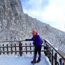 산들바람 이미지