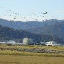 순천만그리고나 이미지