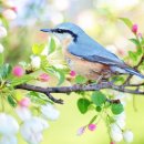 서곡낚시터 | 도산십이곡 / 이황