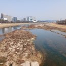 계룡로(유성온천역-만년교) 티스토리