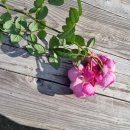 관악산현대홈타운 이미지