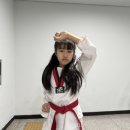 당하경희대태권도장 이미지