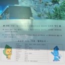 늘사랑민박 | 울릉도 여행 풍경 3일차