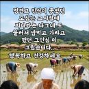 새참 - 1619 | 새참