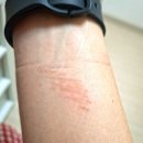 신림사 | 야식 빙수 / 바타봉 봉사 / 신림 커리 / 응애라이딩 후기