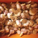 수밀농장 이미지