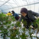 한마음공동체영농조합법인