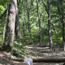 남양주시립박물관 화장실 이미지