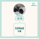 구름동물병원 이미지