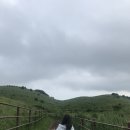 명동헤어샵 - 안동시 평화동 | 명동헤어샵