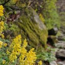 황골탐방지원센터 이미지