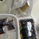 화명동떡볶이 분식맛집 티기오순앤떡볶이