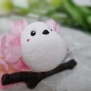 이든혜윰 이미지