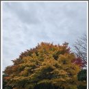 서암초교 이미지