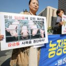 대신축산 이미지