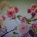 동남빨래나라 이미지