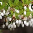 명곡목장 이미지