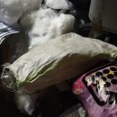 코인스테이지 코인노래연습장 이미지