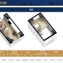 트레비앙 이미지