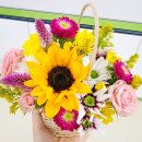 금성초병설유치원 이미지
