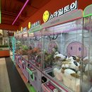 지투존 이미지