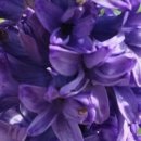 호림농장 이미지