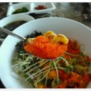 구룡하우스 Daum카페