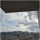 비둘기2길 | 비둘기 퇴치 후기 — 청소부터 소독까지 싹 끝낸 세이브프롬 이야기