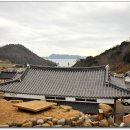 신전해수욕장 Daum카페