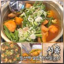 발산역 술집 한사발포차 | 닭볶음탕 맛있는 마곡 한식주점