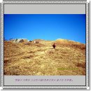 386친구들 이미지