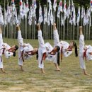 배봉태권도 이미지