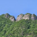 회덕JC(서울)
