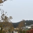 펜트하우스A | 빌라쥬 드 아난티 🏘️ 부산 아난티 펜트하우스 매너하우스A 숙박 후기