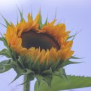 밀양전통시장 이미지