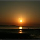 자연의 움직임 이미지