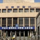 인정사슴목장 이미지