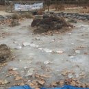 신동근린공원 이미지