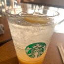 🍋여름 입맛을 깨우는 상큼함!｜스타벅스 ‘칠랙스 소다 유자 시트러스’ 후기✨