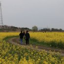 영산스포츠타운 이미지