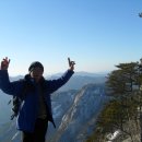 삼거리골재 Daum카페