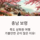 GS25 무창포파크점 | 충남 보령 죽도 상화원 여행, 가볼만한 곳이 진짜 많은 이유!