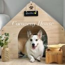 제니펫하우스 이미지