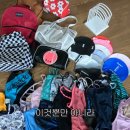 신봉선 카카오 검색결과