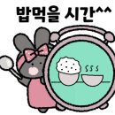김밥홀릭 - 서구 | 김밥홀릭